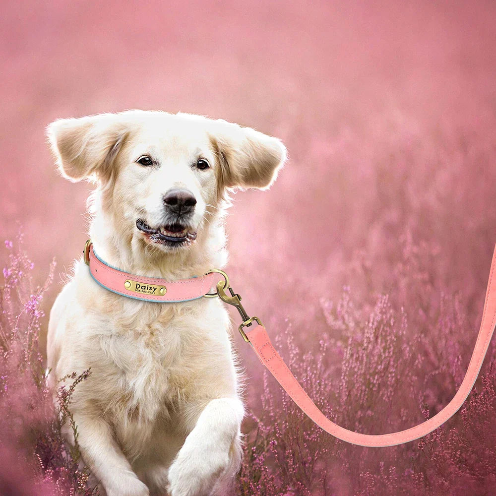 Smycz skórzana 5ft, trwała, do chodzenia i treningu psów